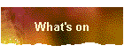 What's on