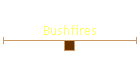 Bushfires