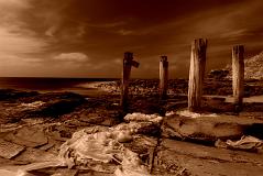 ga_Otways_2K0C4866_dc