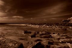 ga_Otways_2K0C4868_dc