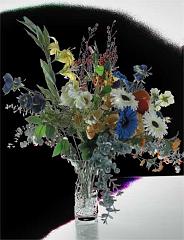 ga_HighKey_floral1_sola239