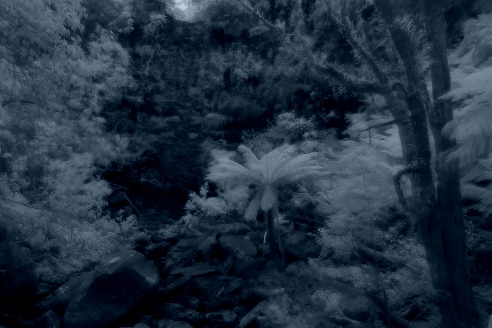 ga_Otways_2K0C4889_ss.jpg - Digital infrared photo of Victoria's Otways. The little water in the waterfall is further darkened by the IR effect.