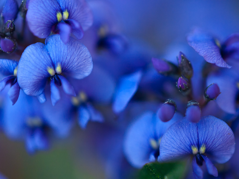P1160186-1.JPG