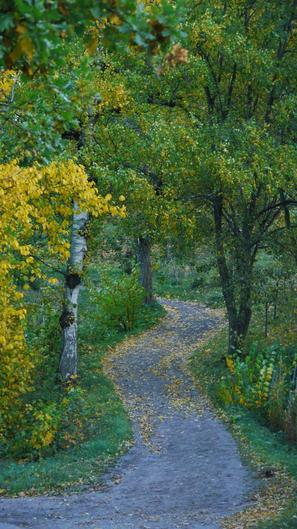 P1100054.jpg