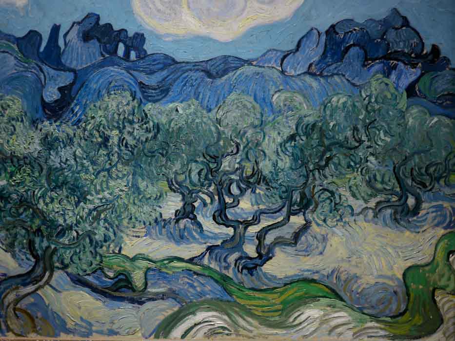 P1140229-1.JPG - The olive trees. Van Gogh. 1889.