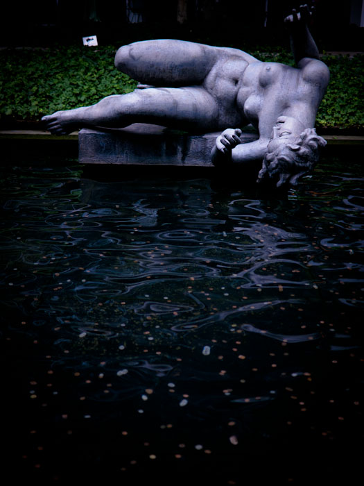P1140285-1.JPG