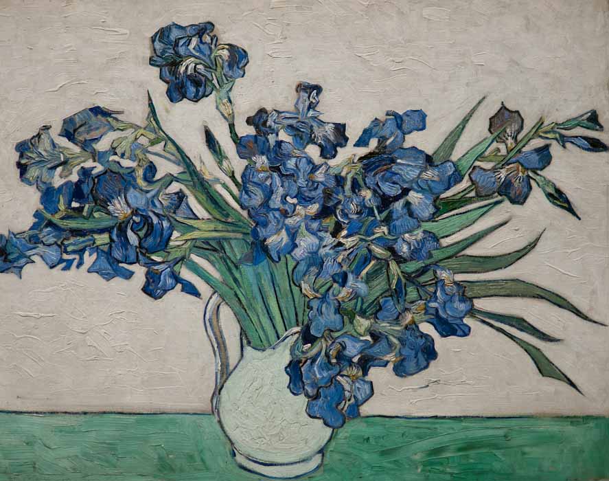 P1140001-1.JPG - Irises. Van Gogh. 1890.