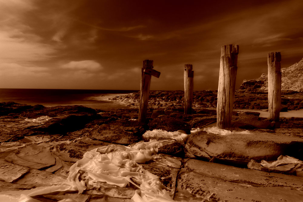 ga_Otways_2K0C4866_dc.jpg