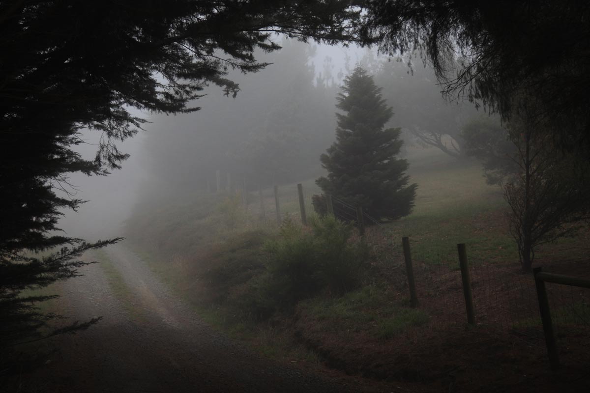 2K0C0036.jpg - a totally different place, a place to dream - but where will the road take us? does it matter?