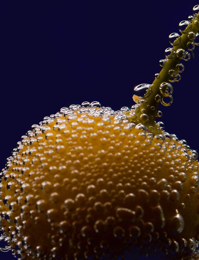 GA241393.jpg - Olympus E510, ZD 50mm macro lens + TC20 teleconverter and ring flash.