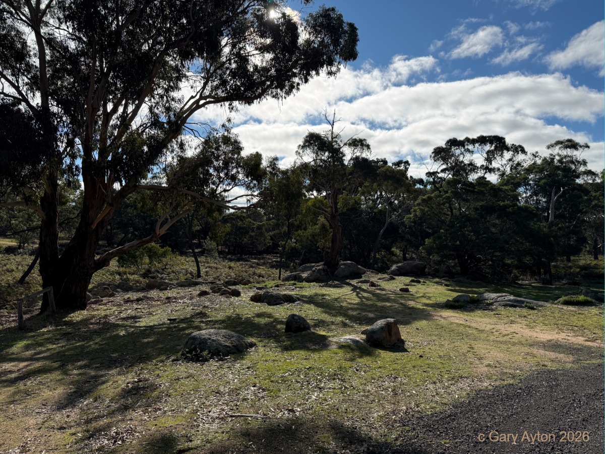 www.ayton.id.au_gary_photos_campsites_mtbeckworth_corkoaknorthwest.jpg