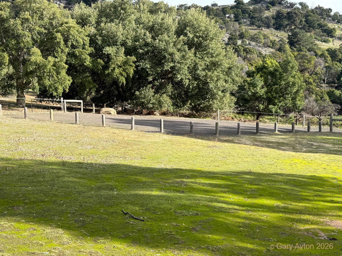 www.ayton.id.au_gary_photos_campsites_mtbeckworth_corkoaksouthwestcornercarpark.jpg