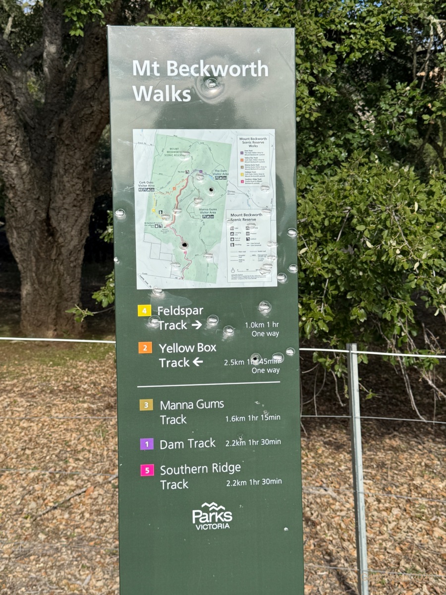 www.ayton.id.au_gary_photos_campsites_mtbeckworth_corkoakwalks.jpg