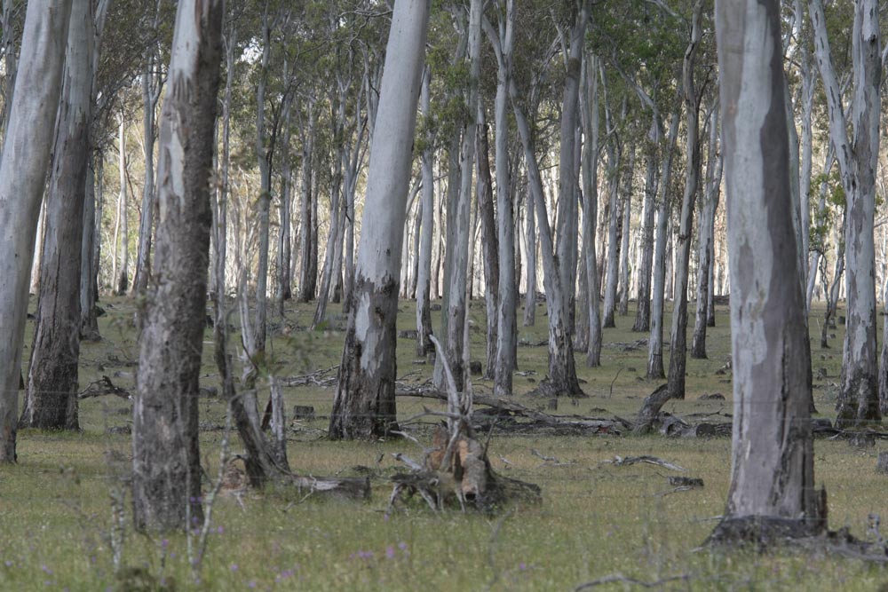 ga_Grampians_2K0C2634.jpg