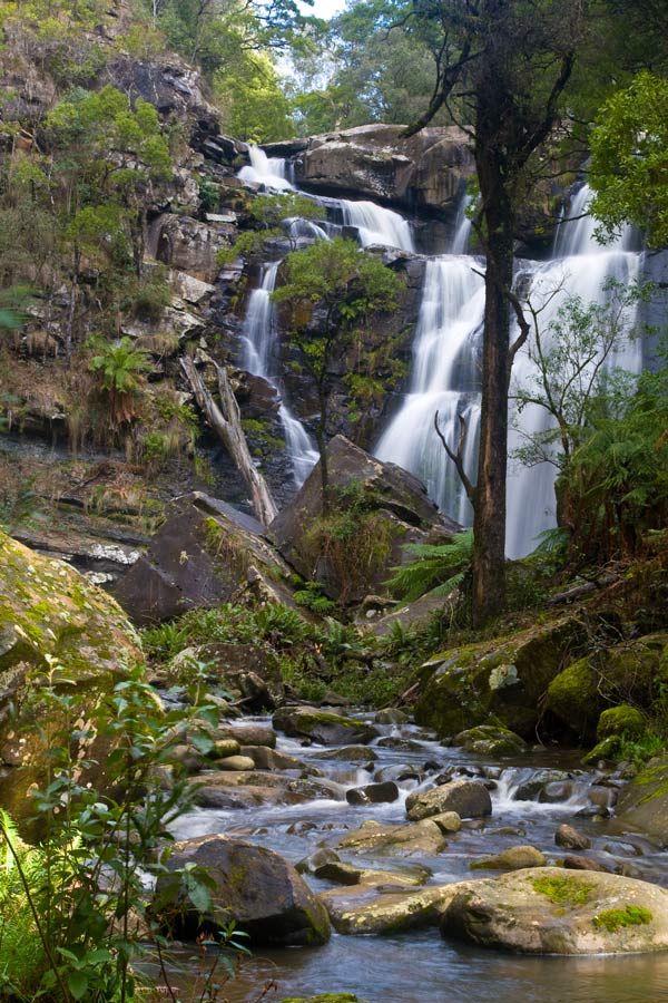 ga_Otways_2K0C6516.jpg - Stevenson's Falls, Victoria